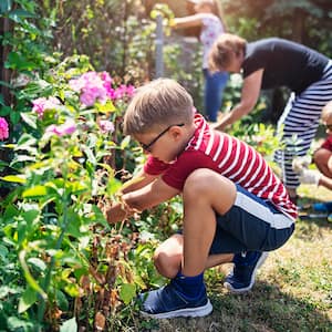 kids helping to remove weeds from garden 